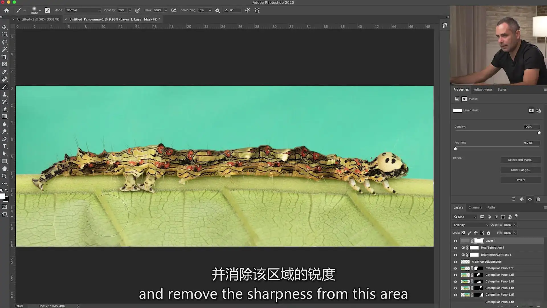 图片[18]-Fstoppers-Andres Moline掌握微距摄影拍摄教程-独家精翻中英字幕