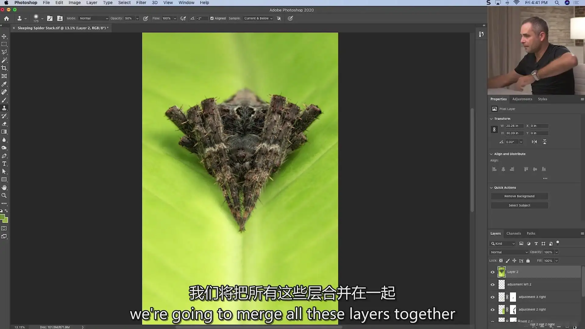 图片[20]-Fstoppers-Andres Moline掌握微距摄影拍摄教程-独家精翻中英字幕