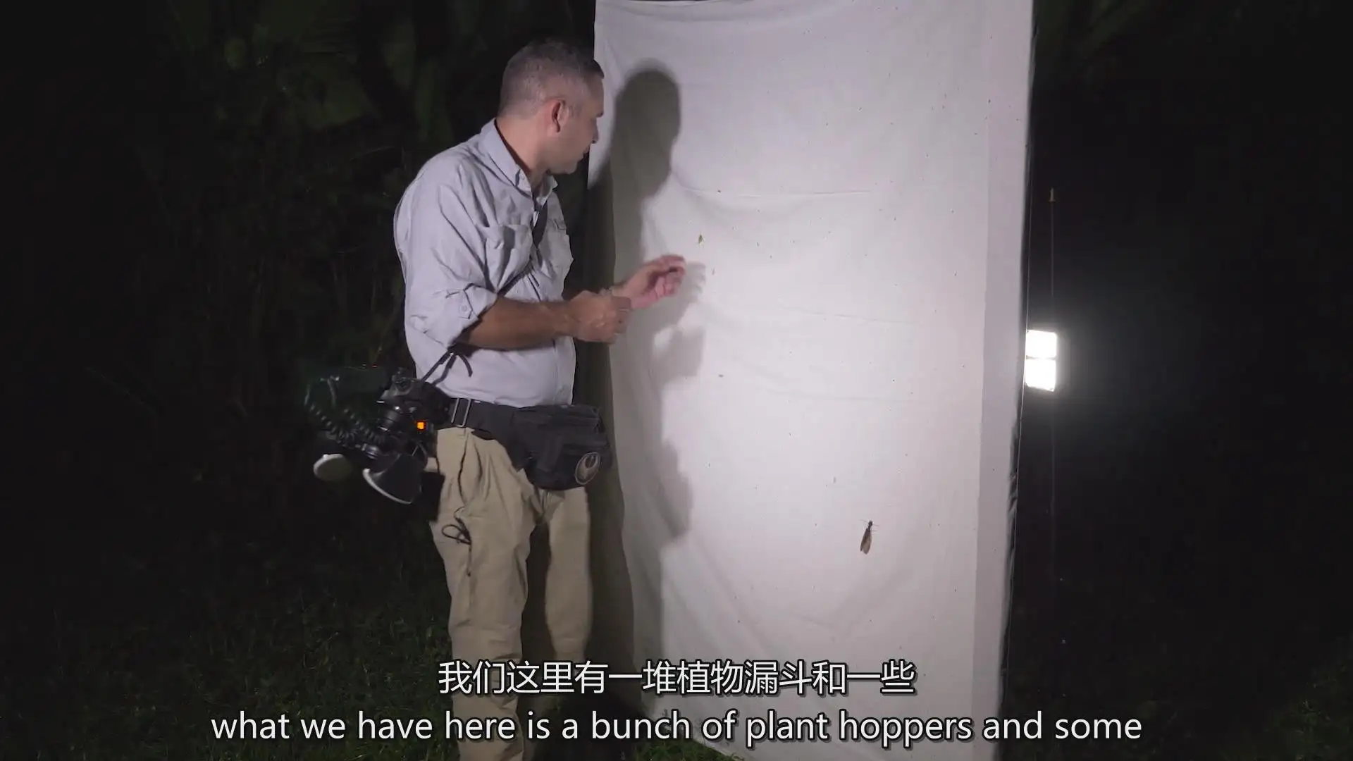 图片[23]-Fstoppers-Andres Moline掌握微距摄影拍摄教程-独家精翻中英字幕