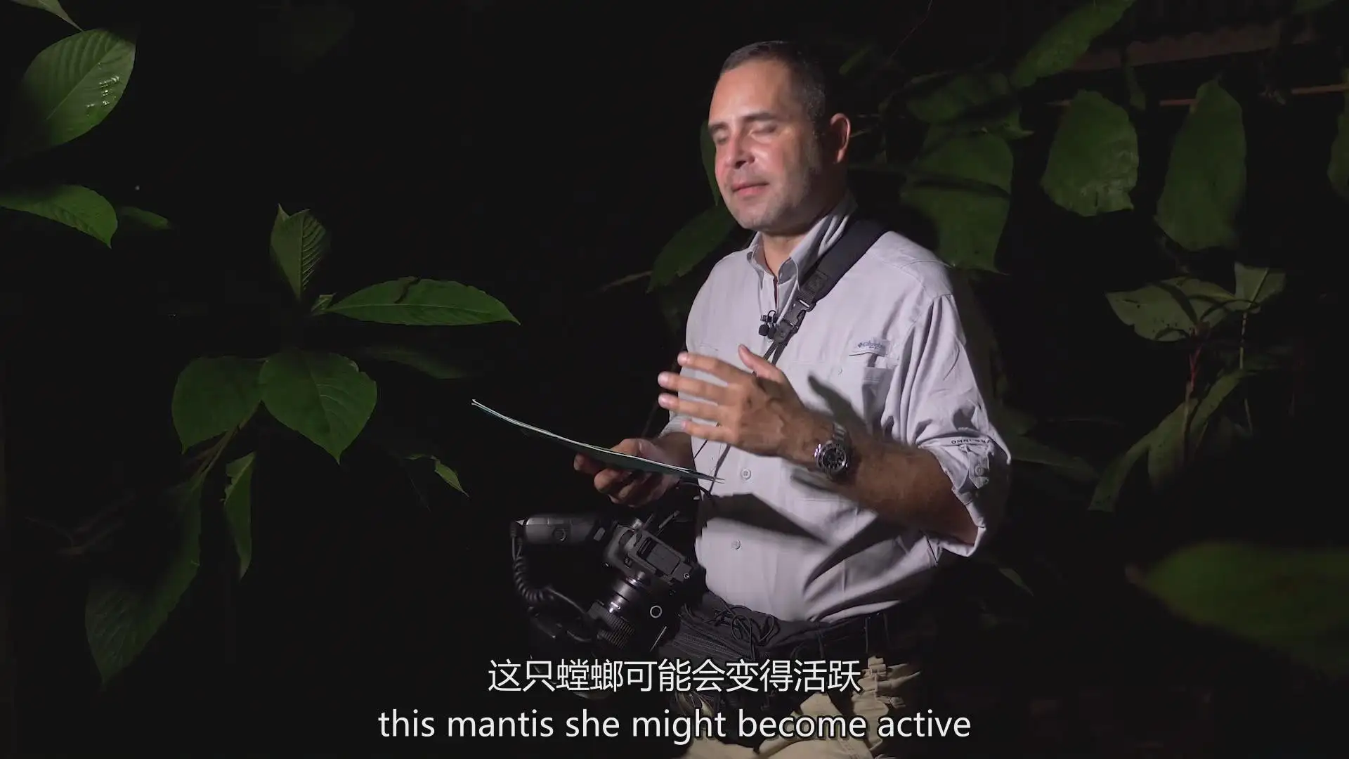 图片[25]-Fstoppers-Andres Moline掌握微距摄影拍摄教程-独家精翻中英字幕