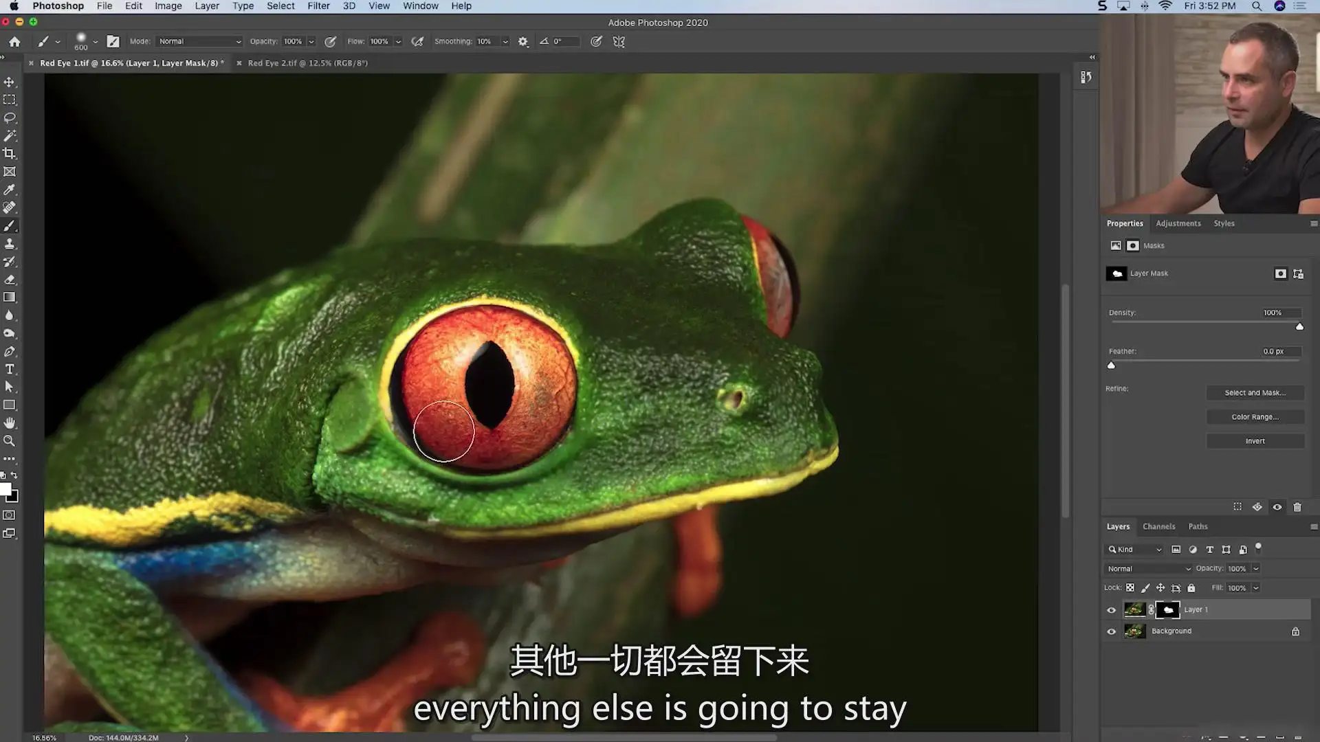图片[28]-Fstoppers-Andres Moline掌握微距摄影拍摄教程-独家精翻中英字幕