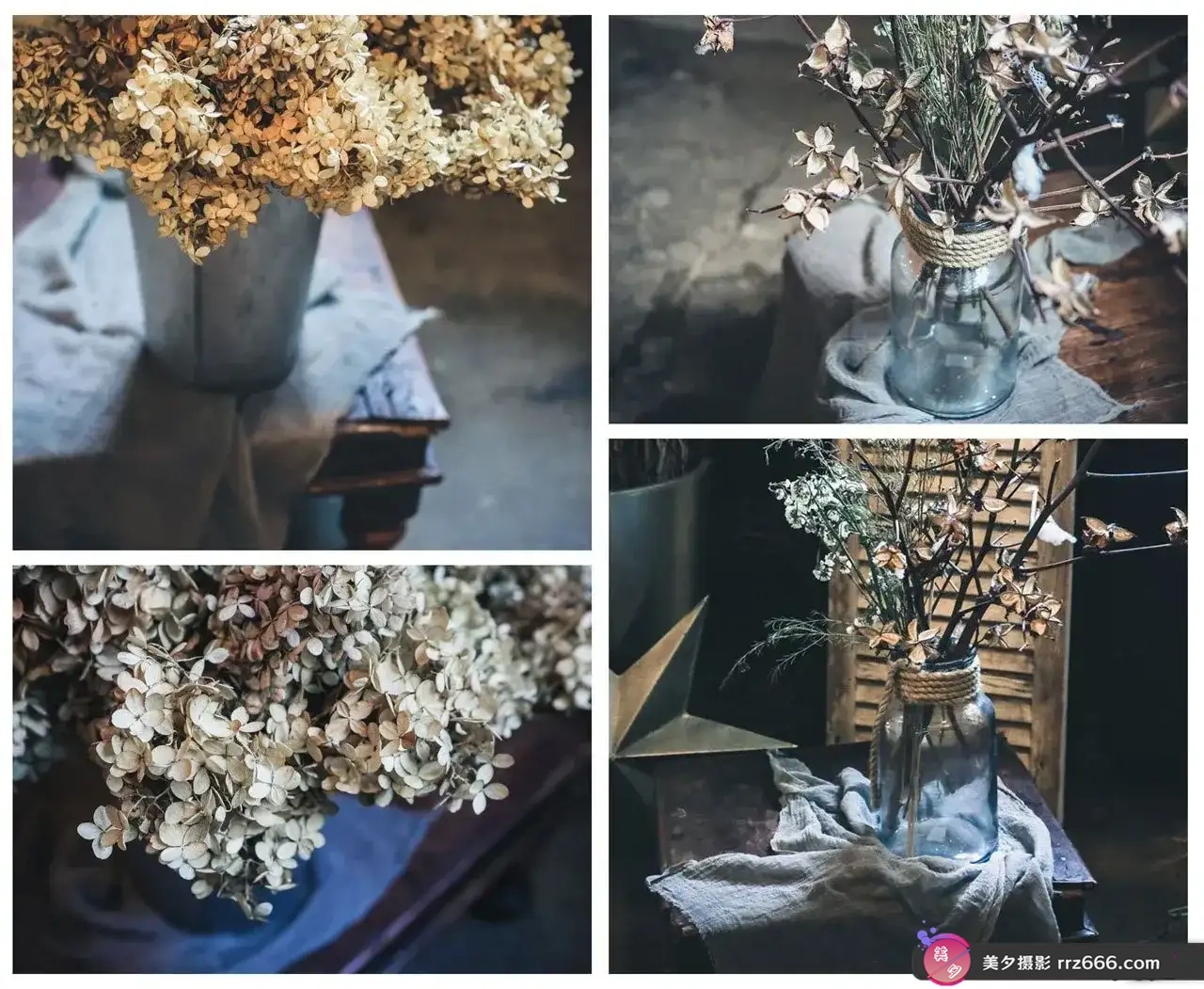 图片[9]-DENISE LOVE - 最全面的静物大师课程6套教程合集-独家精翻中英字幕-美夕摄影