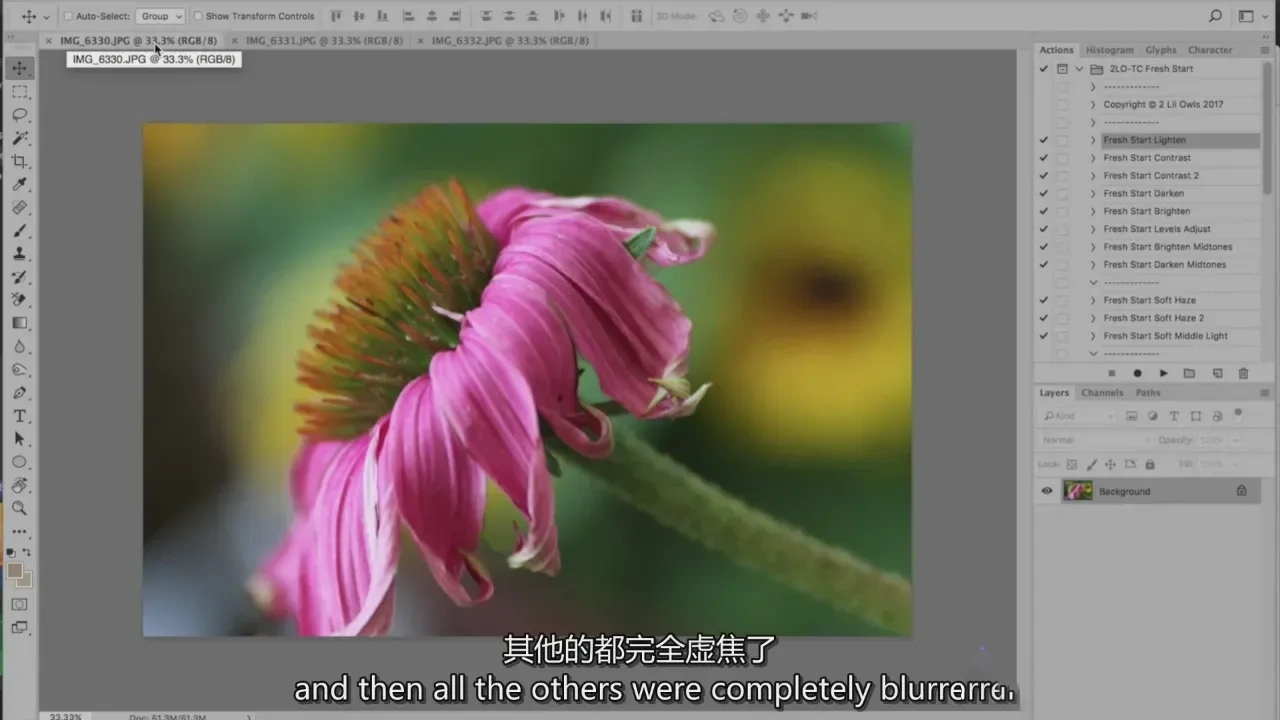 图片[11]-Lenslab静物摄影教程-花卉创意静物摄影教程-独家精翻中英字幕-美夕摄影
