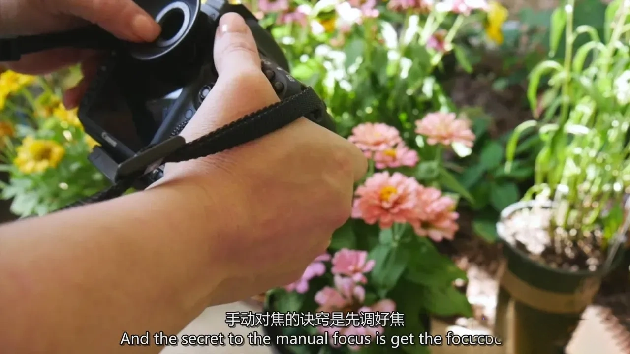 图片[9]-Lenslab静物摄影教程-静物摄影入门基础知识基础-独家精翻中英字幕-美夕摄影