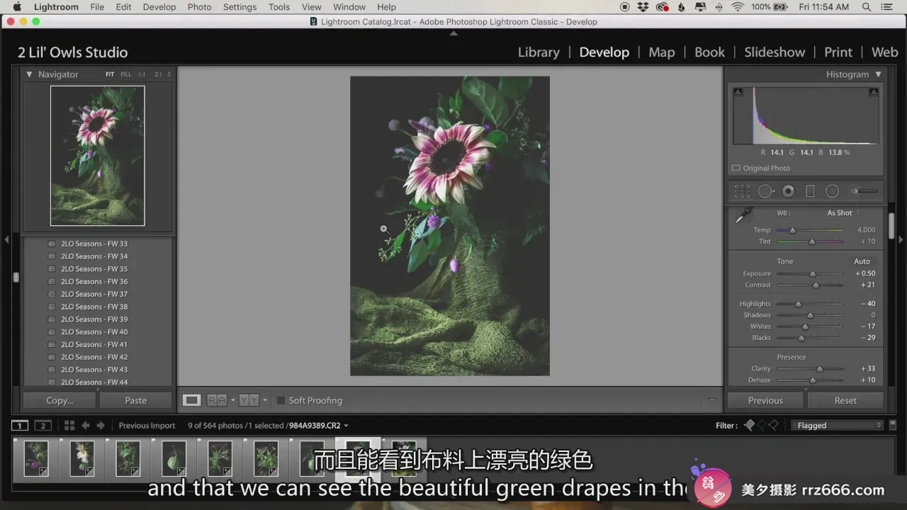 图片[12]-Lenslab静物摄影教程-破解静物摄影的色彩密码教程-独家精翻中英字幕-美夕摄影