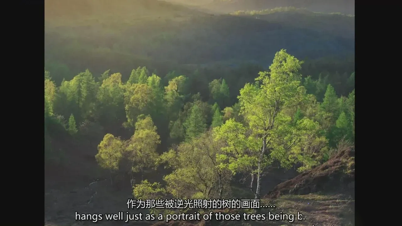 图片[8]-Nigel Danson - 在各种光线下的风光摄影指南教程-独家精翻中英字幕-美夕摄影