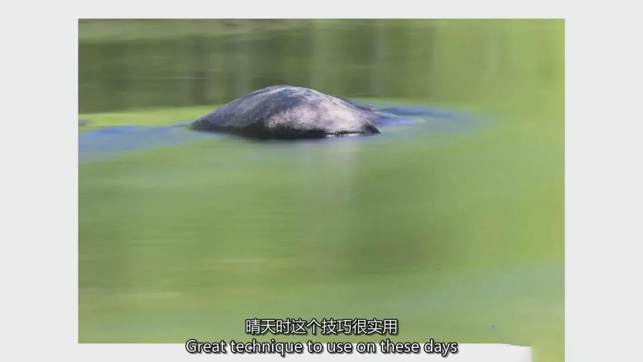 图片[11]-Richard Bernabe - 大烟山国家公园风光摄影师指南-独家精翻中英字幕-美夕摄影