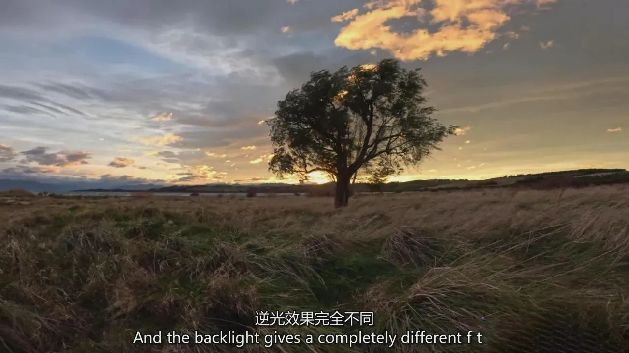 图片[7]-摄影师 William Patino 黄金时刻风景摄影教程-独家精翻中英字幕-美夕摄影