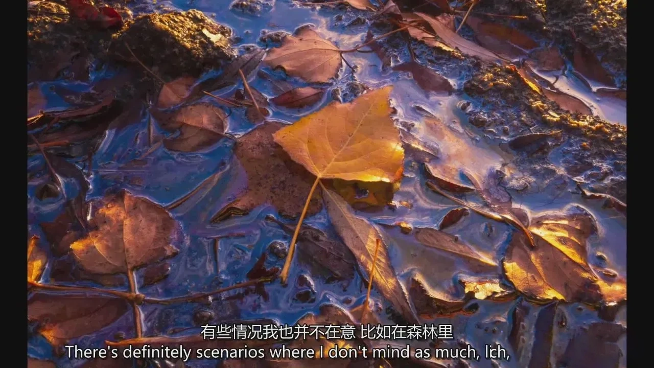 图片[5]-摄影师William Patino以亲密的方式探索风光摄影教程-独家精翻中英字幕-美夕摄影
