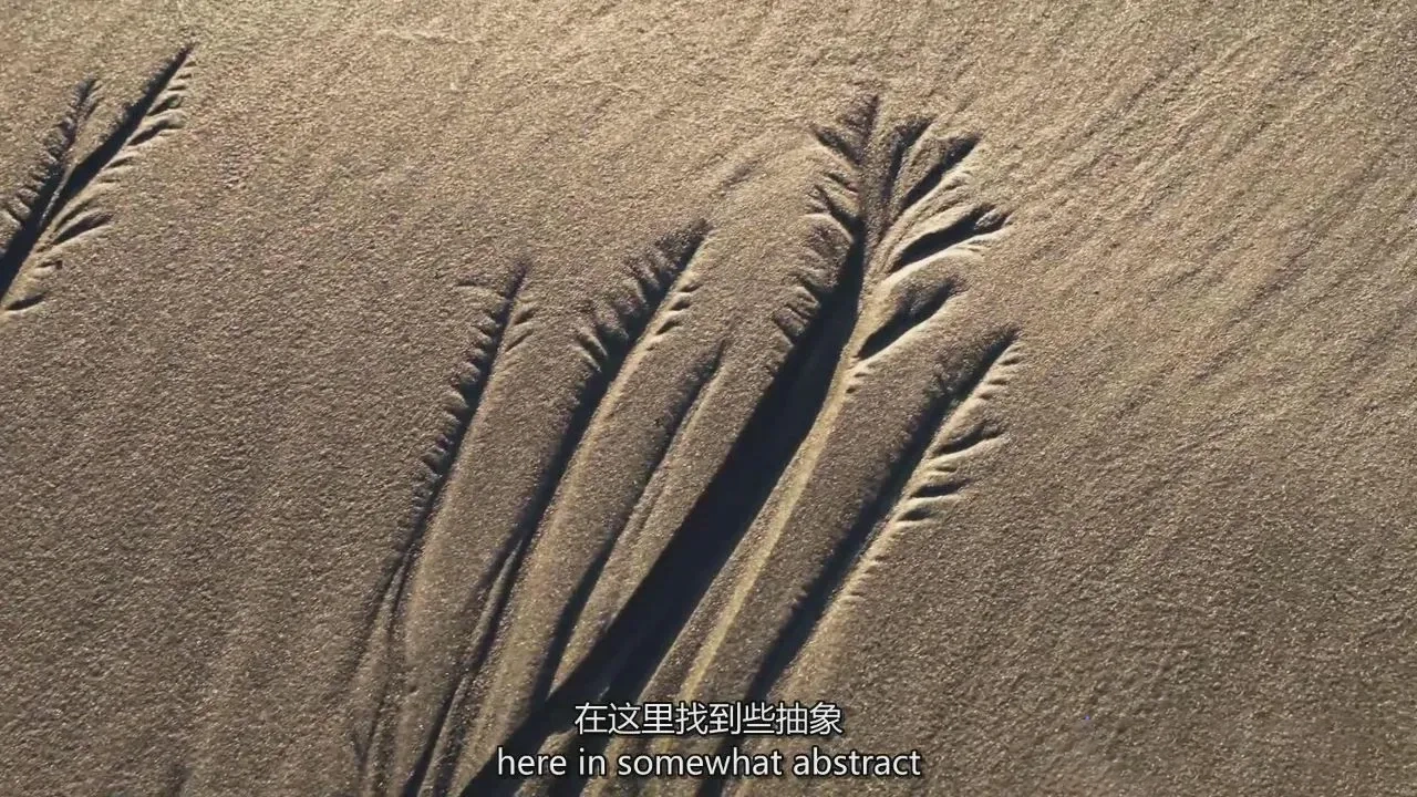 图片[10]-摄影师William Patino以亲密的方式探索风光摄影教程-独家精翻中英字幕-美夕摄影