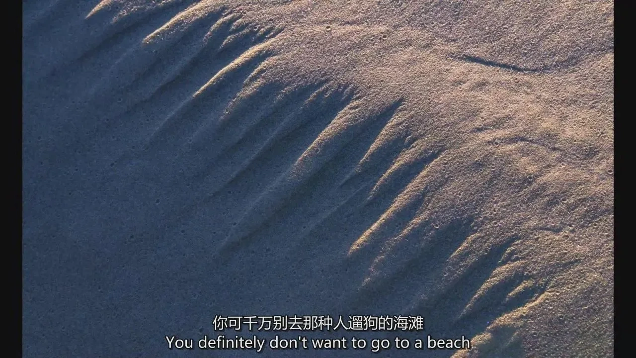 图片[11]-摄影师William Patino以亲密的方式探索风光摄影教程-独家精翻中英字幕-美夕摄影