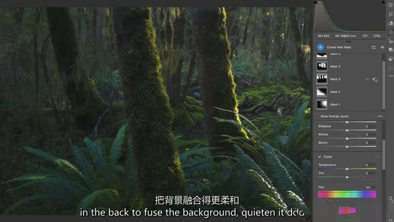 图片[20]-摄影师William Patino以亲密的方式探索风光摄影教程-独家精翻中英字幕-美夕摄影