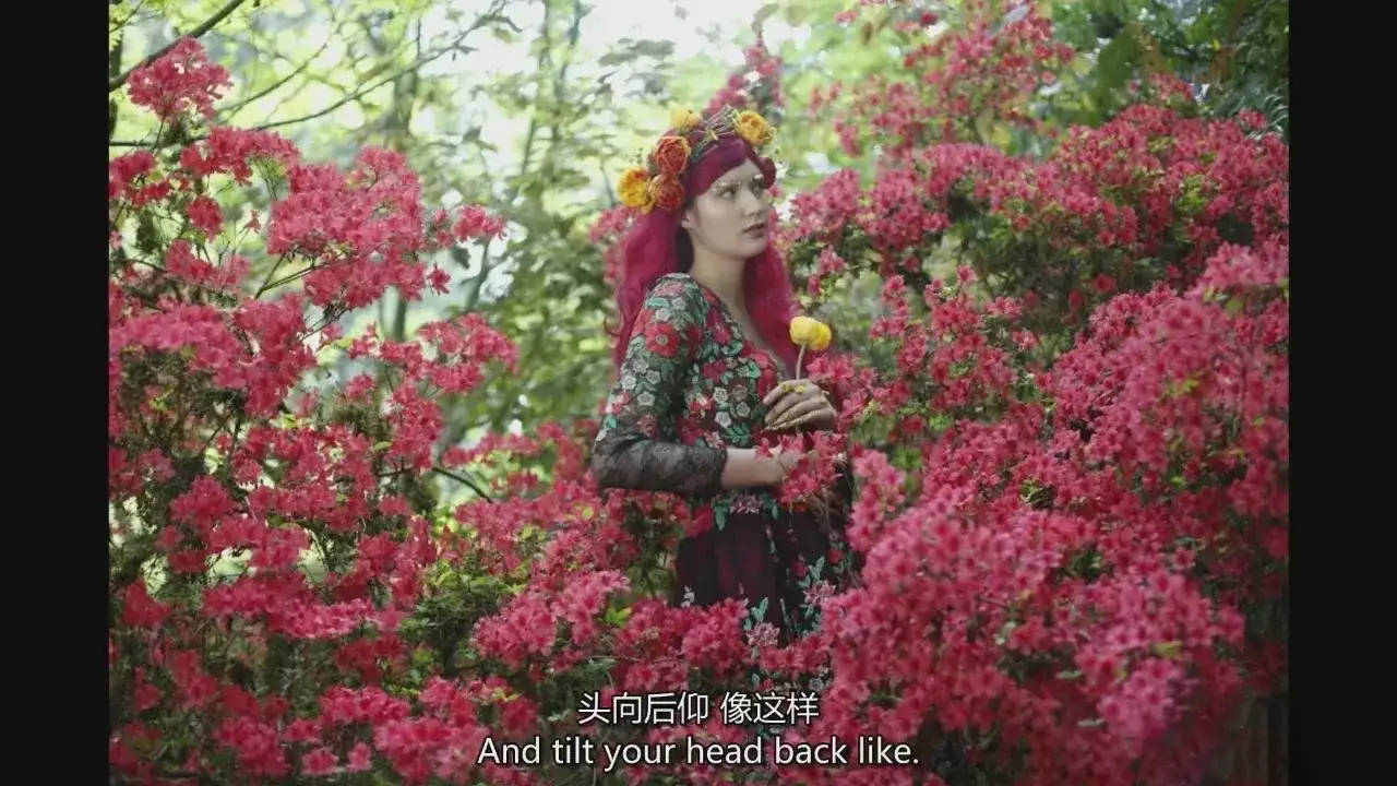 图片[5]-Bella Kotak从拍摄到后期美术概念摄影教程-独家精翻中英字幕-美夕摄影